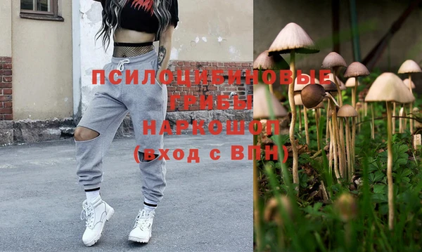 крисы Надым