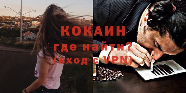 крисы Надым