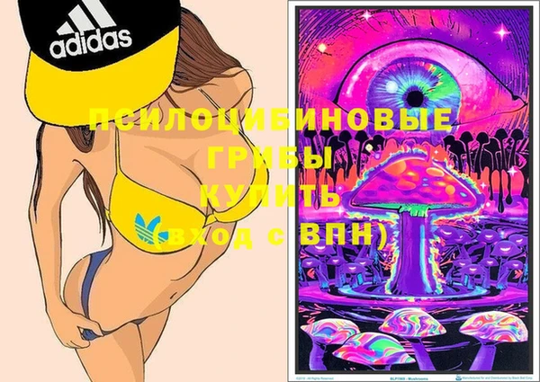 индика Узловая
