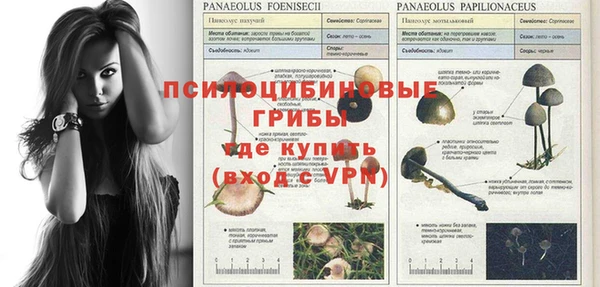 гашик Аша
