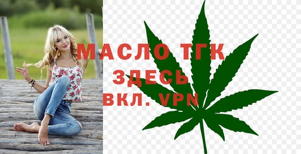 крисы Надым